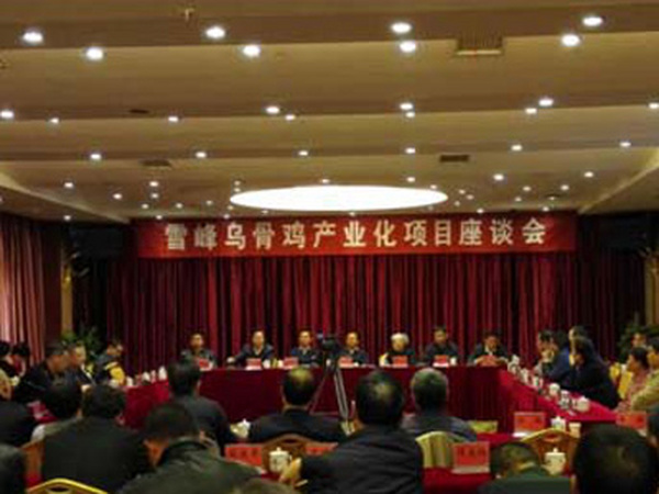洪江雪峰乌骨鸡产业化项目座谈会在洪江区举办