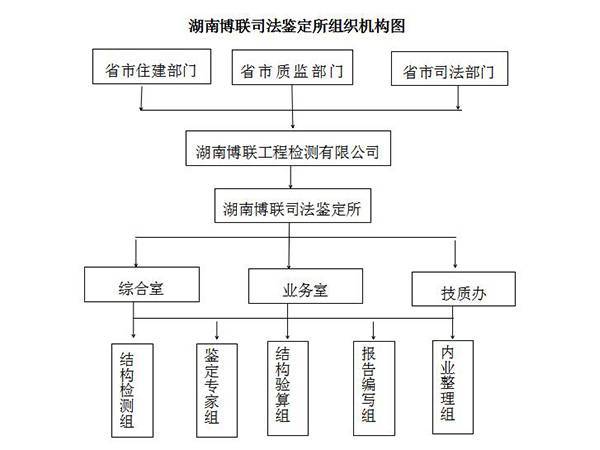 湖南博联司法鉴定所组织机构图