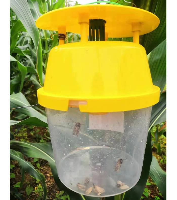 草地贪叶蛾诱捕器