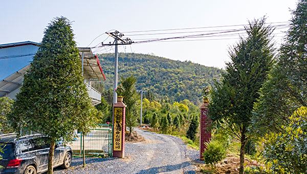 养殖基地