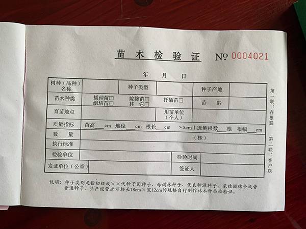苗木检验证