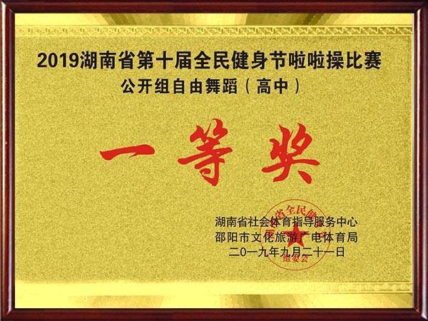 2019湖南省第十届全民健身节啦啦操比赛一等奖