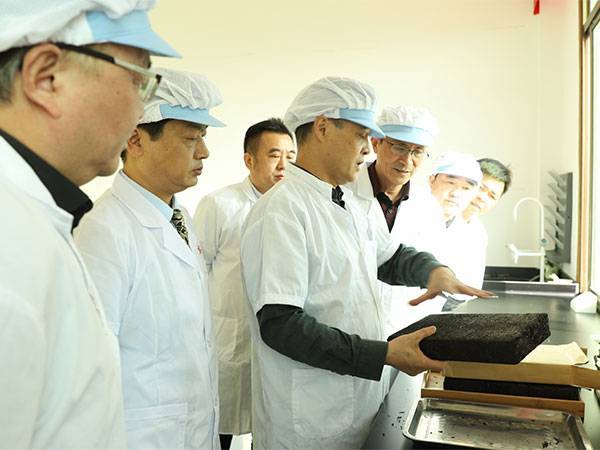 专家现场指导与调研集锦