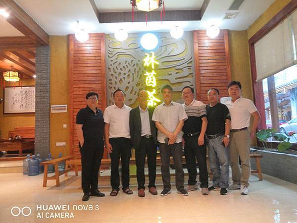 公司专家团队深入保靖茶叶市场指导和调研