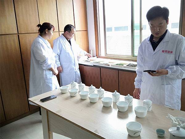 合作案例