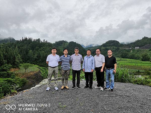 公司专家团队深入龙山县天一茶业新建茶园指导工作