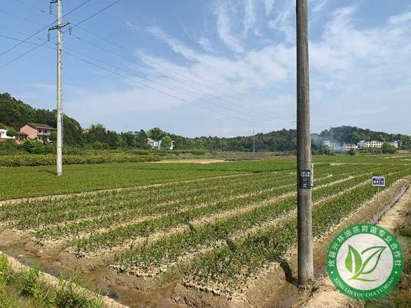 国家林业局副局长刘东生：森林康养助推林业精准扶贫