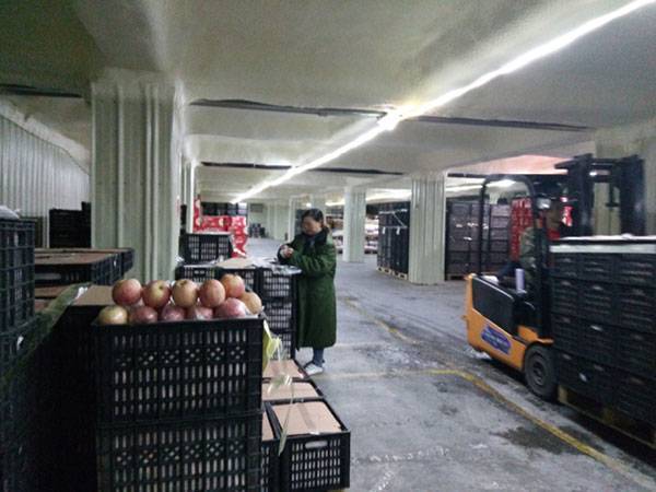 公司入選為物流標準化試點企業