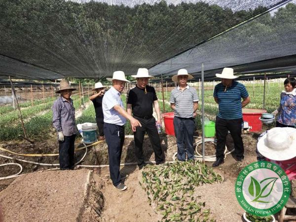 客户视察