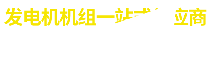 利莱森玛发电机banner（）改_03