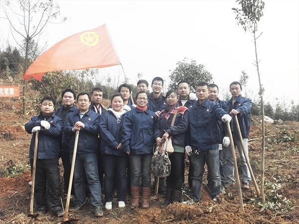 公司党支部组织开展植树造林活动