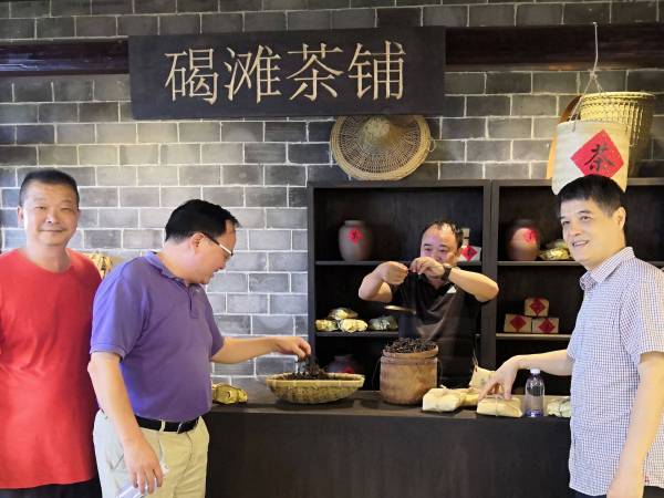 沅陵辰投项目技术咨询