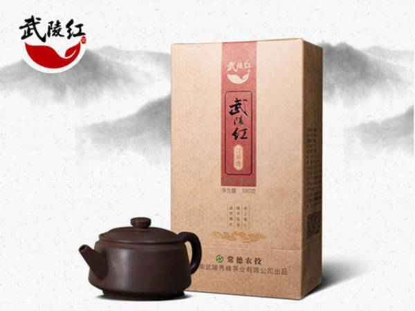 石门县项目技术咨询