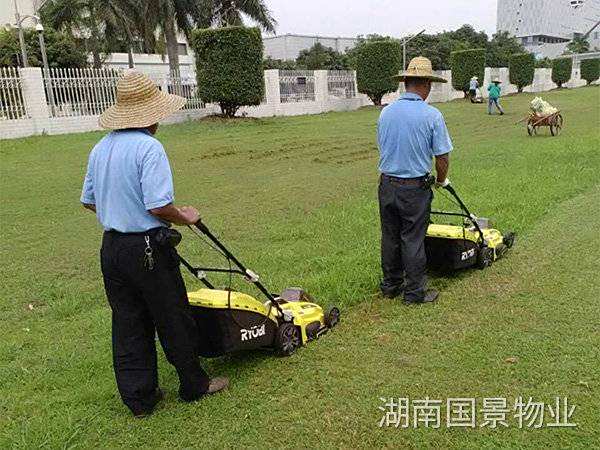 環(huán)境消殺工作