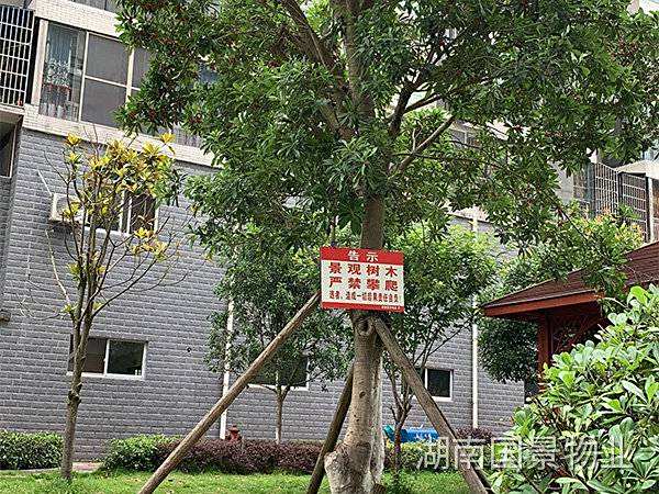 化糞池清掏