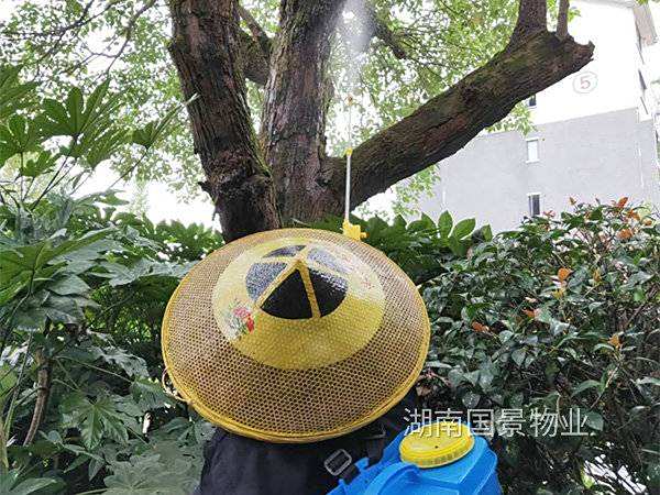 綠化養(yǎng)護(hù)
