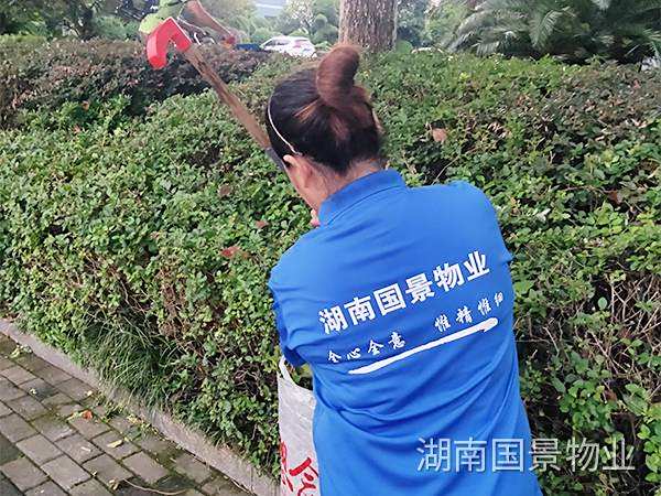綠化服務(wù)方案