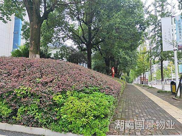中方縣稅務(wù)局銀杏路辦公區(qū)