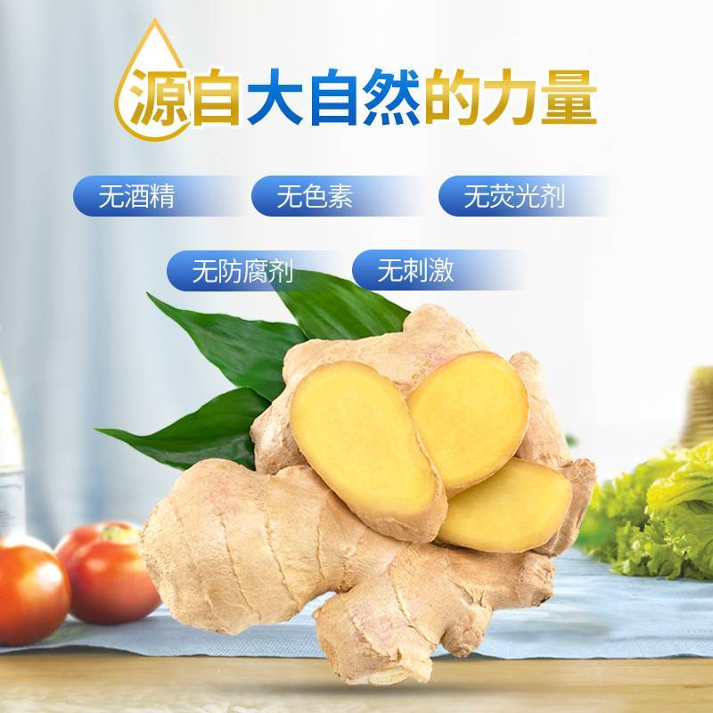 食品用生姜洗洁精5kg