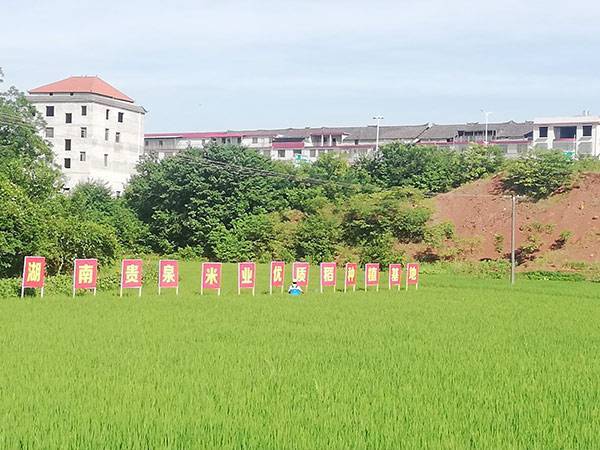 基地展示