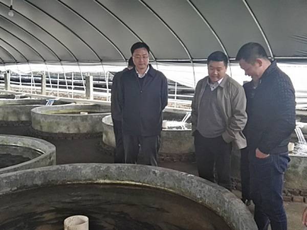 湖南省畜牧水產局副局長王元寶調研郴州流水養魚工作