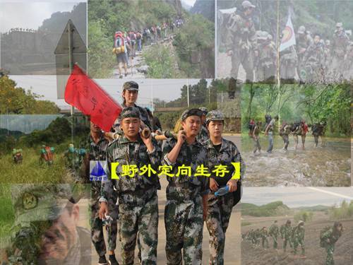 野外定向生存