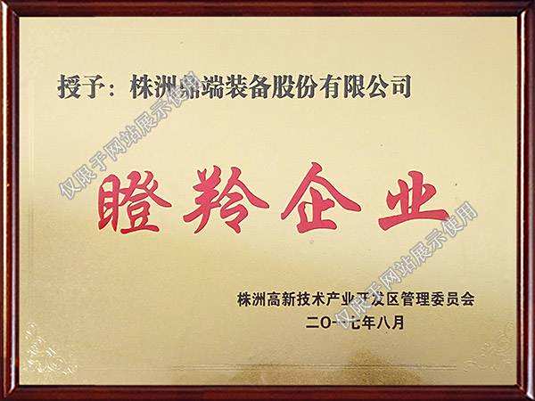 8、高新区瞪羚企业