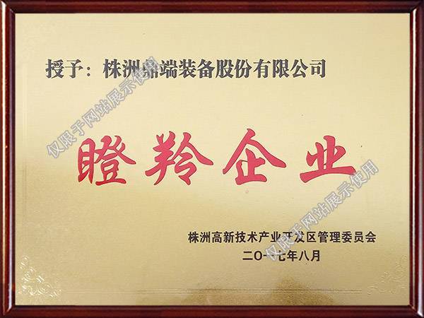 高新区瞪羚企业