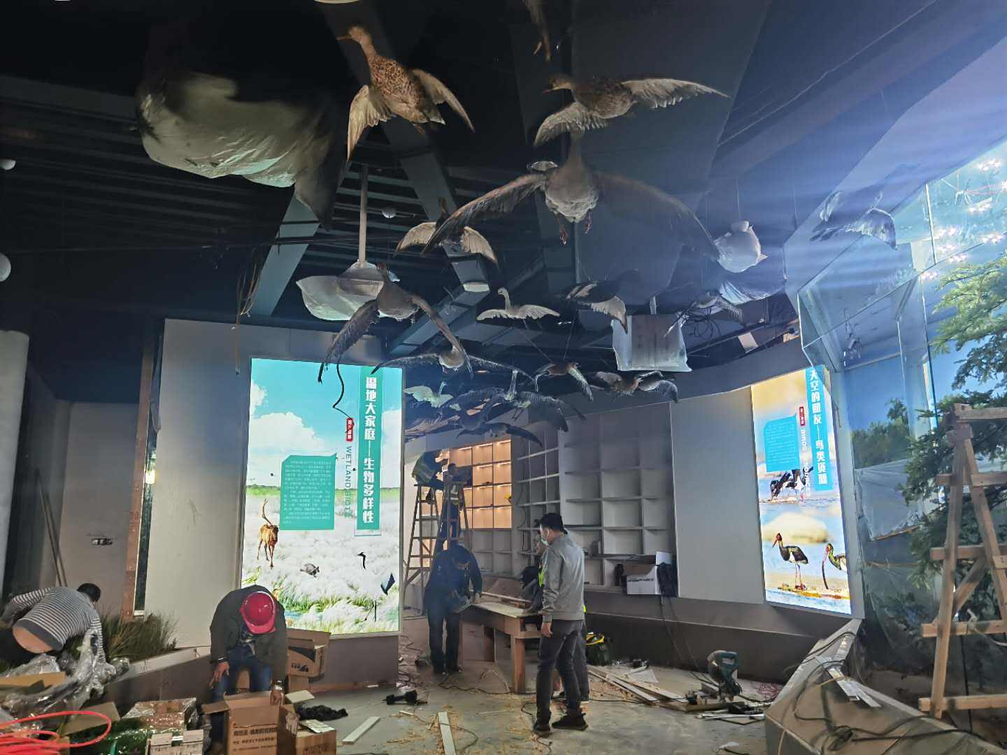室内布展部分