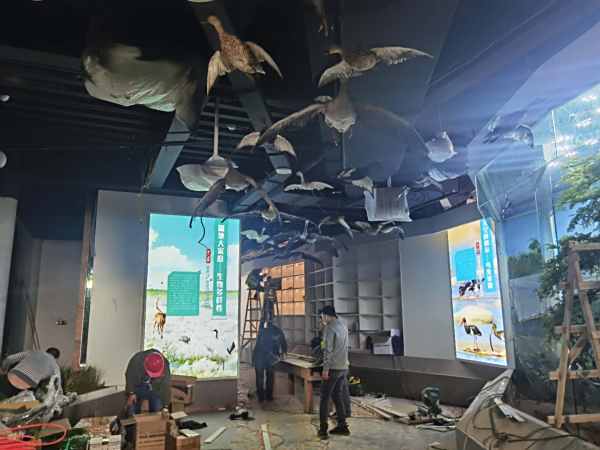 室内布展部分