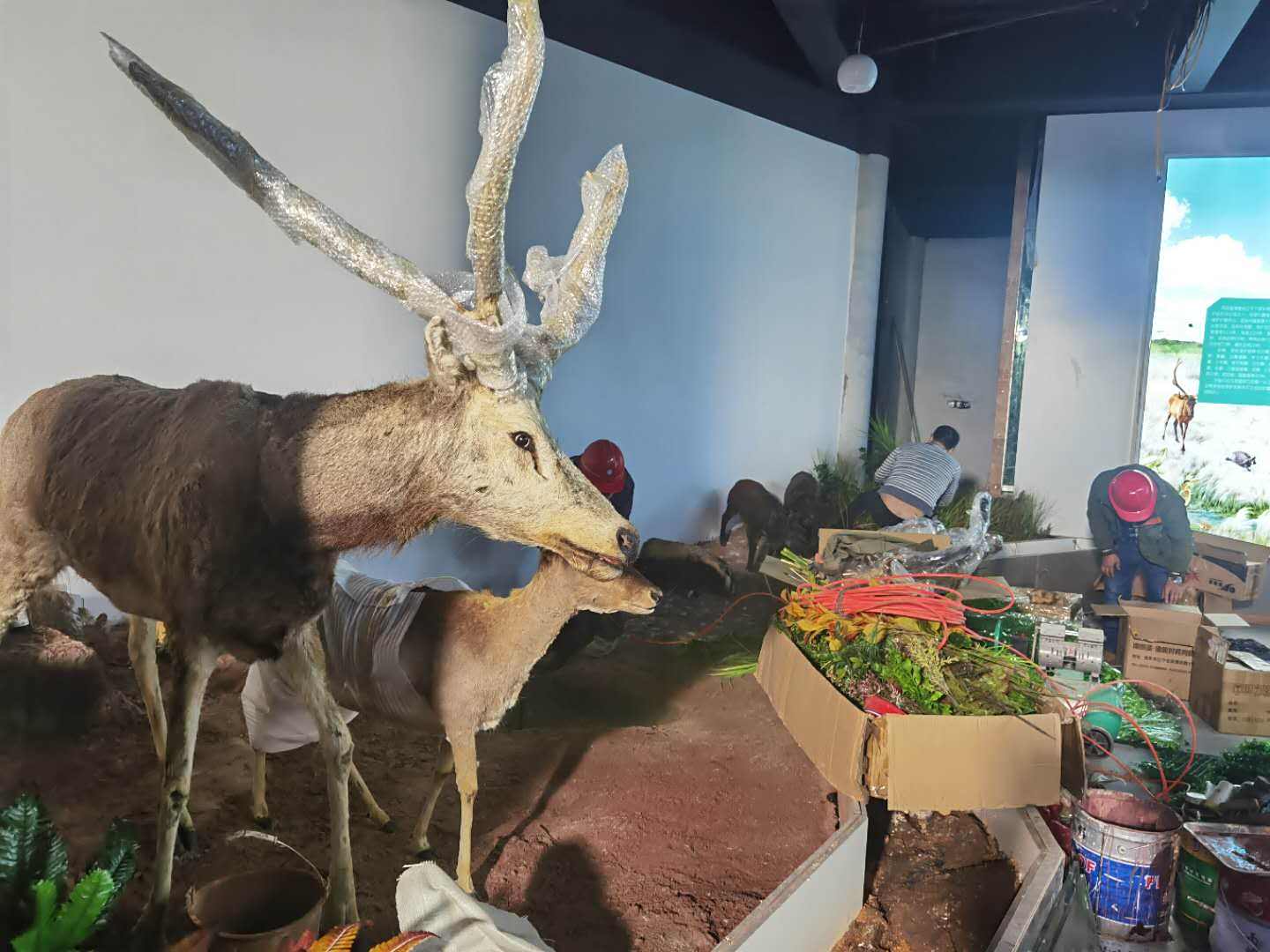 室内布展部分1