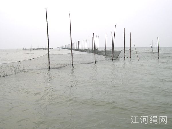 湖南益阳某大型渔场养殖用拦网