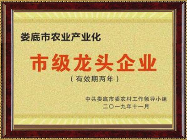 娄底市农业产业化龙头企业荣誉证书