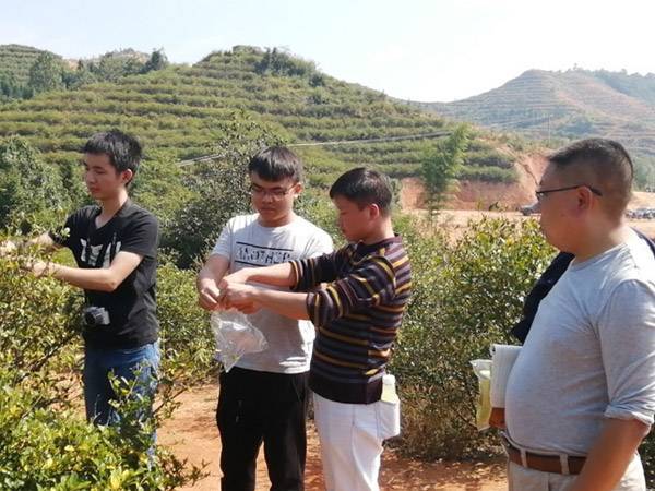 湖南农大教授到双峰“传经送宝”