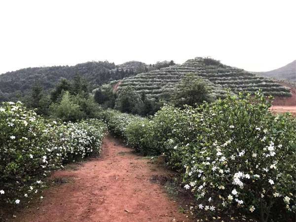 基地风貌