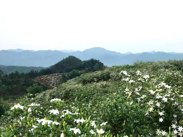 基地风貌