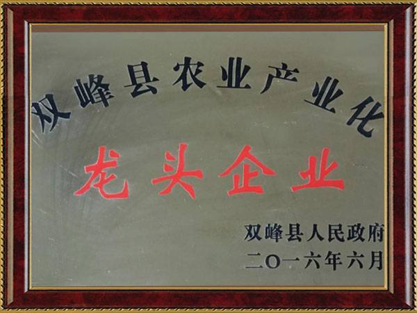 龙头企业