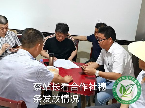 领导视察