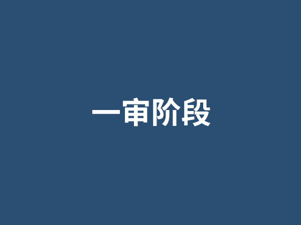 一审阶段
