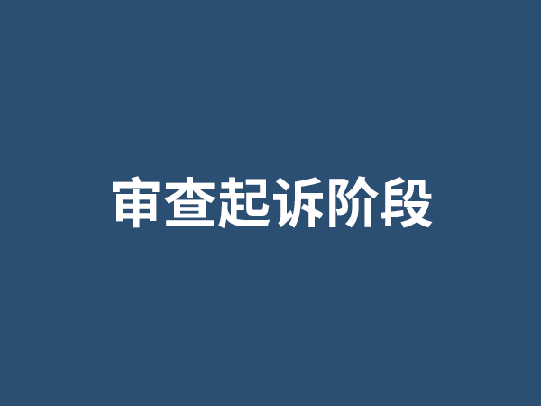 审查起诉阶段