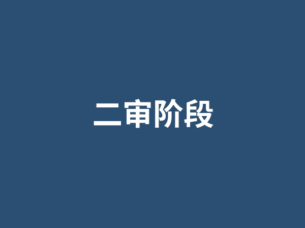 二审阶段