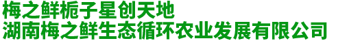 未标题-2