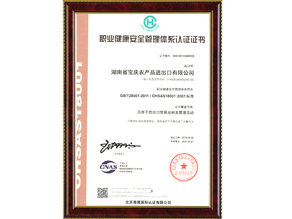 職業(yè)健康管理體系（中文版）