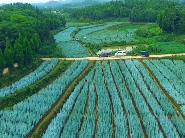 基地展示