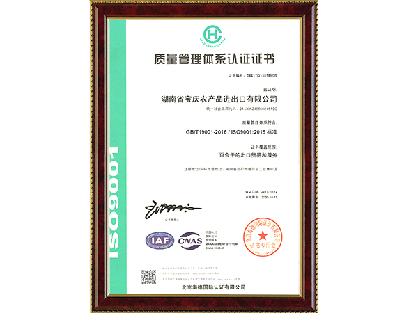 彩色-質(zhì)量管理體系-中文版-有效期202