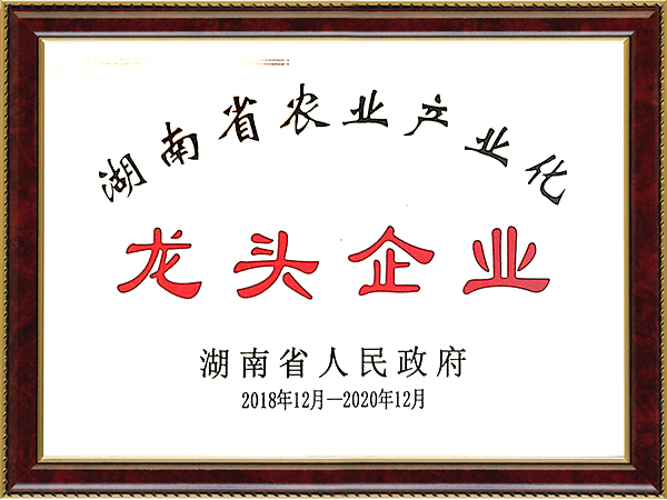 2018年-2020年龙头企业