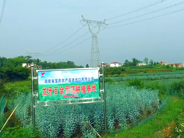 2号基地