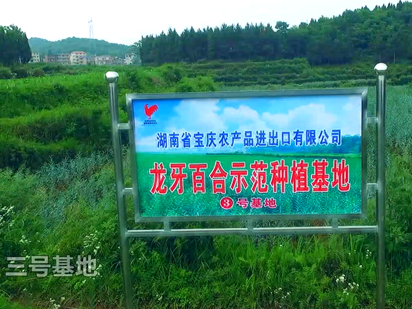 3号基地