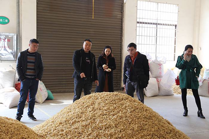 新加坡客戶來我司考察2
