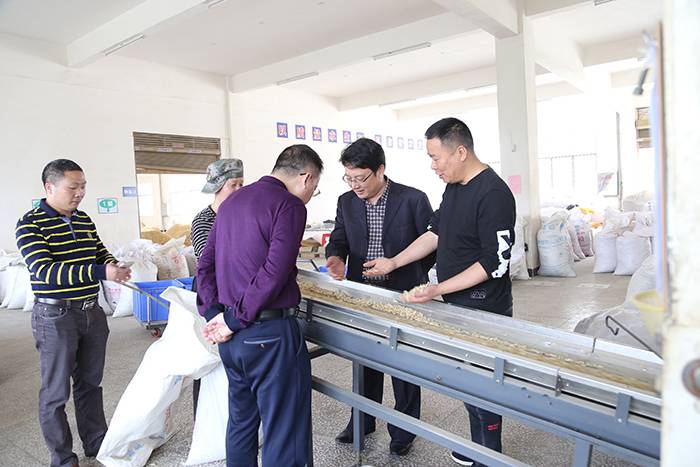 市农发行领导来我司考察工作4
